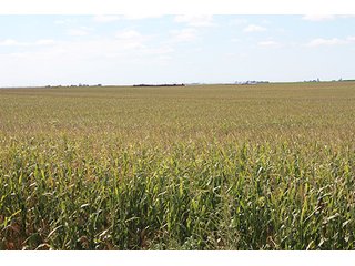Property photo 88 - LAND AUCTION, 3255+/- Acres offered in 13 Tracts